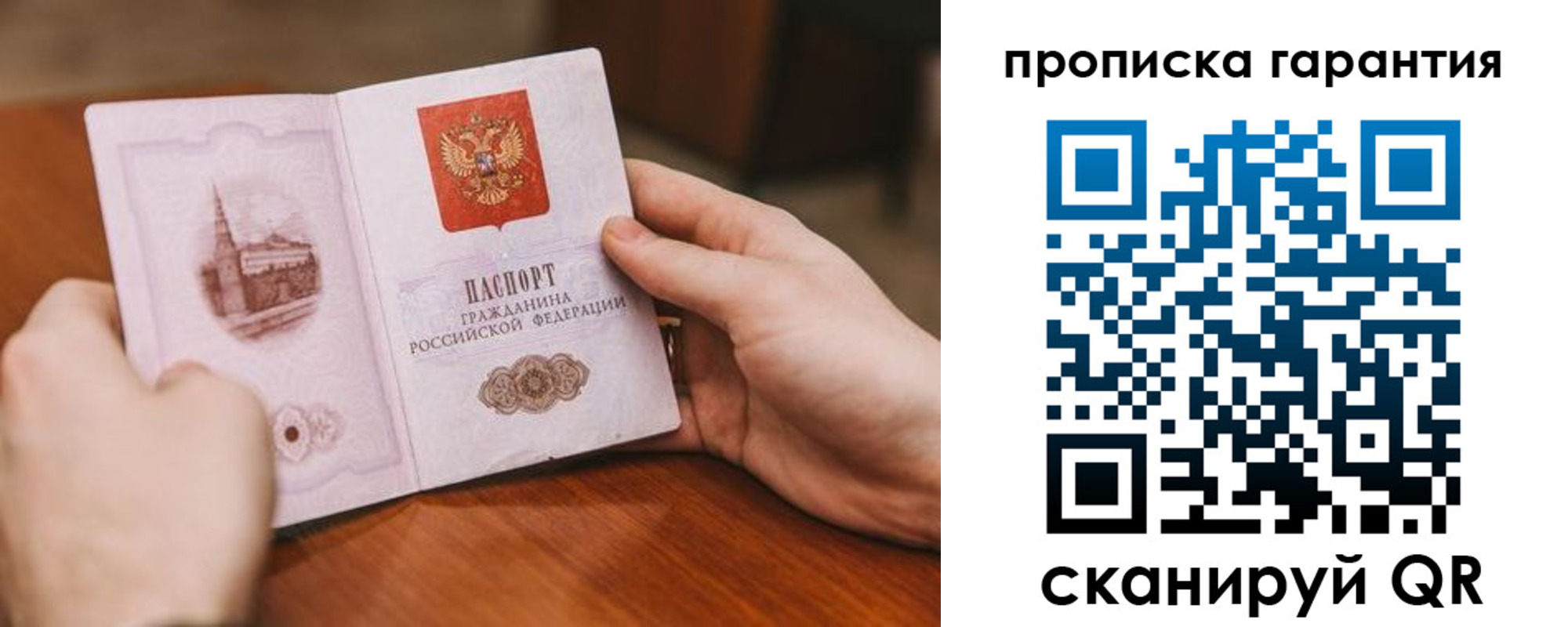прописка поиск в Новороссийске